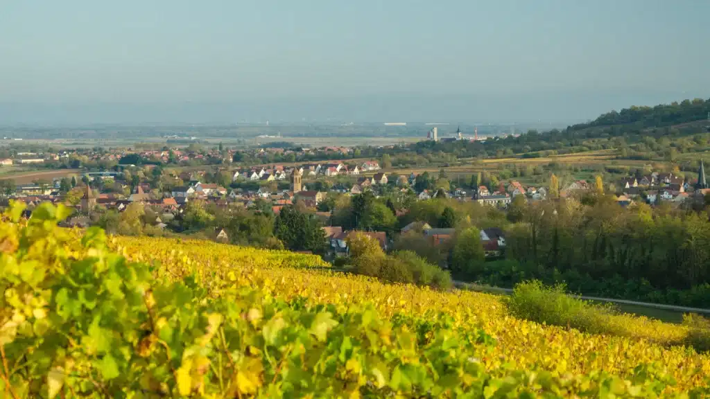 Bilwisheim (67)