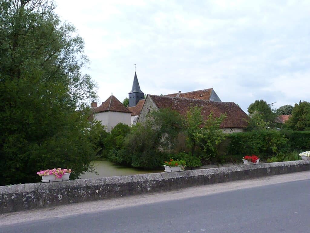 Sassay (41)