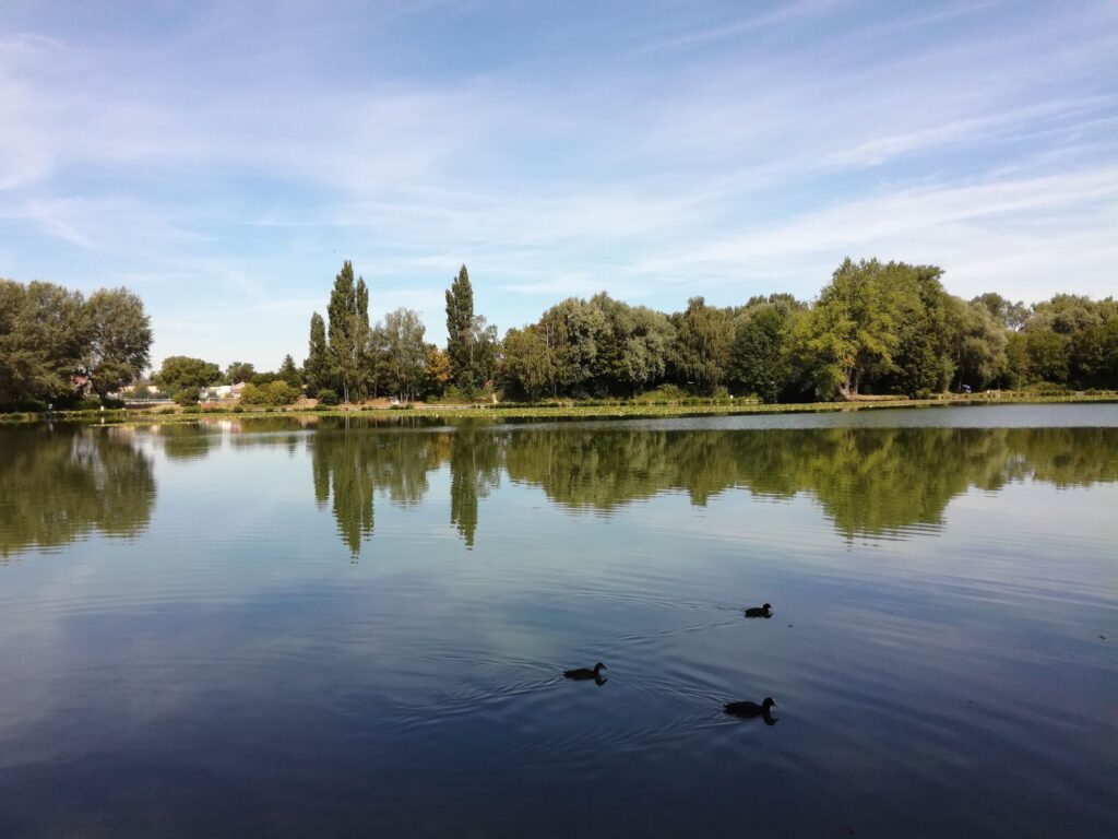 Annay-sous-Lens (62)
