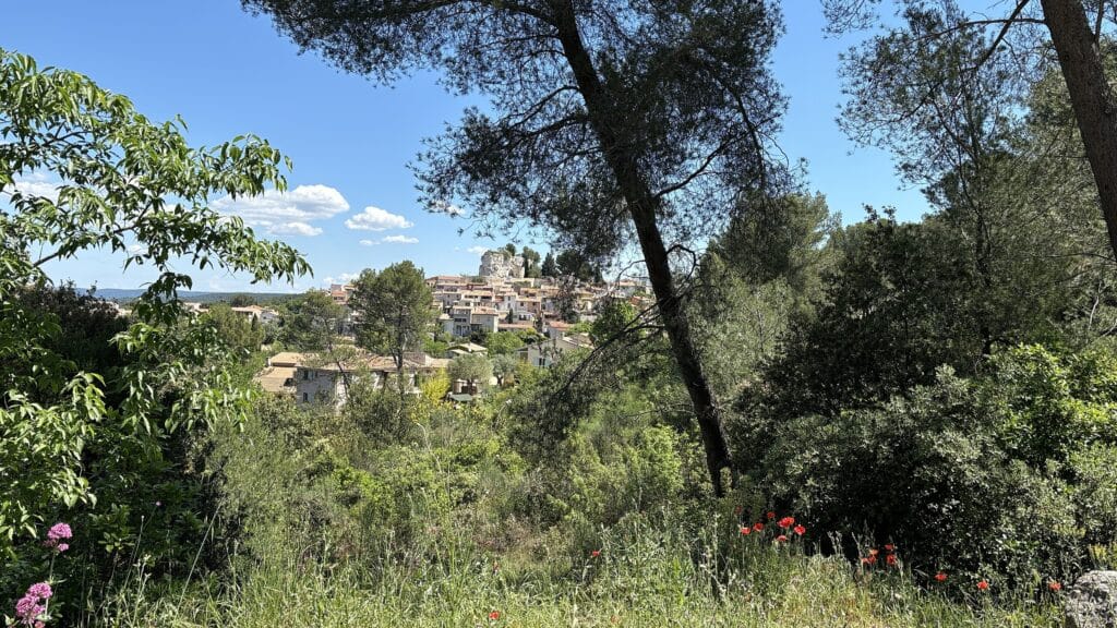 Bouc-Bel-Air (13)
