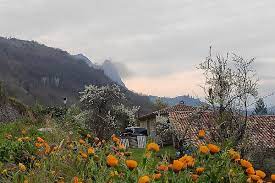 Leychert (09)
